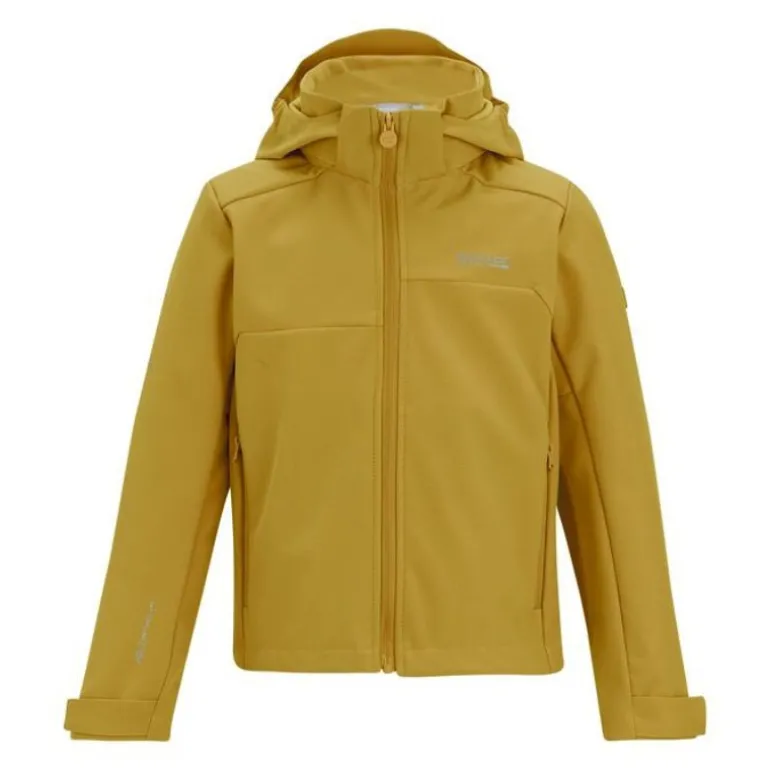 Veste softshell Acidity VIII de Regatta - Brown Sage