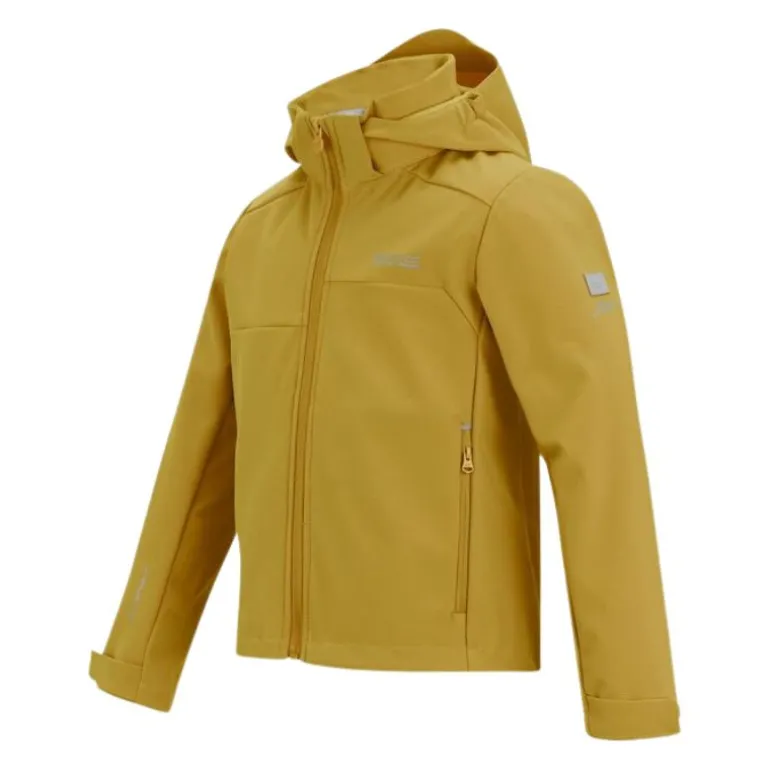 Veste softshell Acidity VIII de Regatta - Brown Sage
