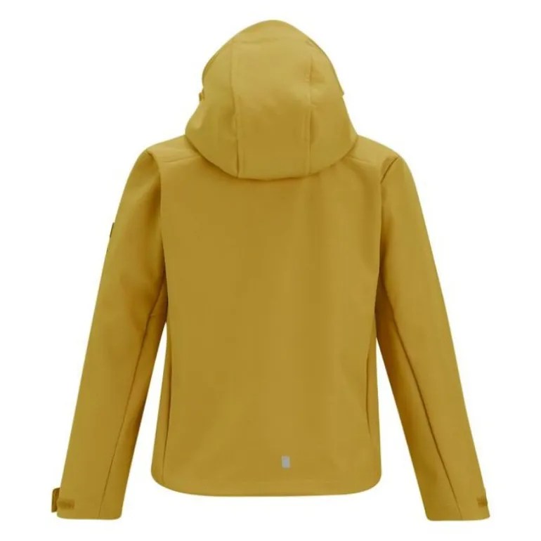 Veste softshell Acidity VIII de Regatta - Brown Sage