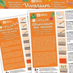 Vivarium racines et vers de terre - Radis et Capucine