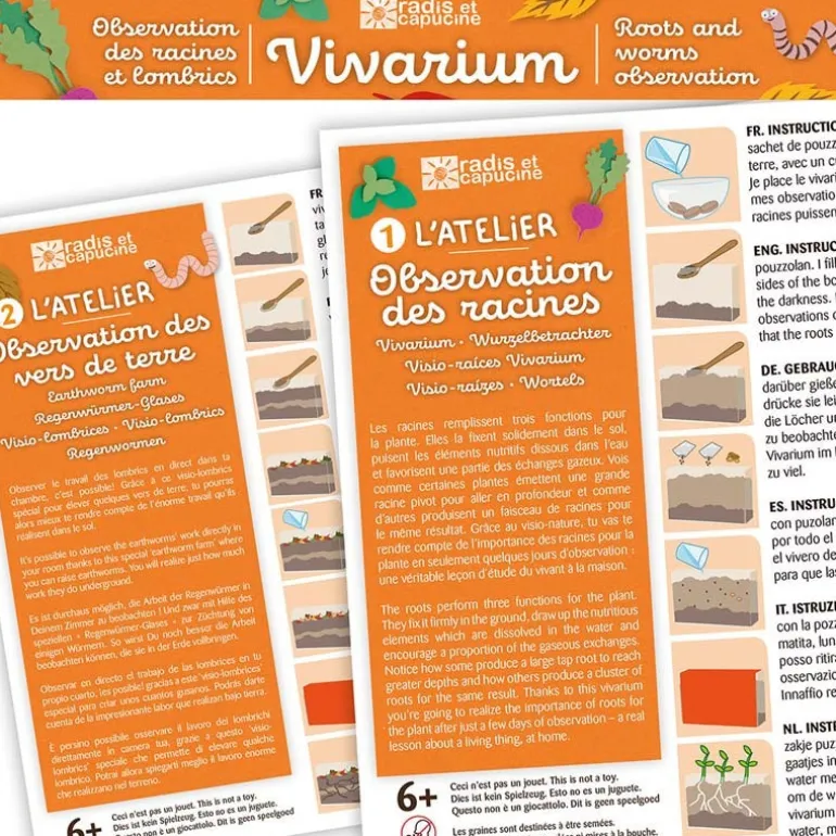 Vivarium racines et vers de terre - Radis et Capucine